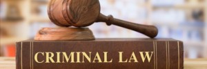 Criminal law book